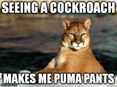 punny puma | SEEING A COCKROACH MAKES ME PUMA PANTS | image tagged in punny puma | made w/ Imgflip meme maker