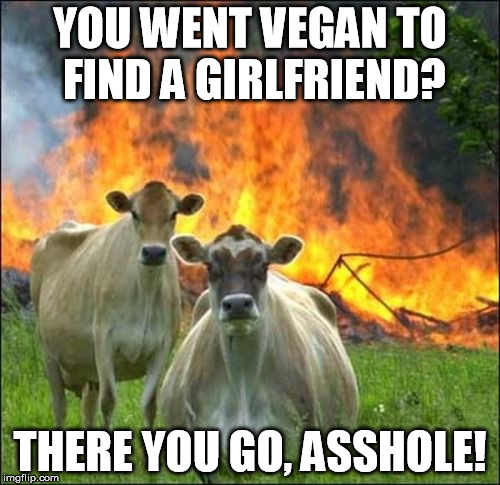 Evil Cows | YOU WENT VEGAN TO FIND A GIRLFRIEND? THERE YOU GO, ASSHOLE! | image tagged in memes,evil cows | made w/ Imgflip meme maker