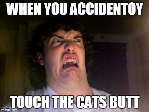 This happens to me yestreday XD | WHEN YOU ACCIDENTOY TOUCH THE CATS BUTT | image tagged in memes,oh no,cats butt | made w/ Imgflip meme maker