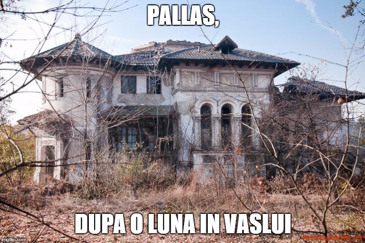 PALLAS, DUPA O LUNA IN VASLUI | made w/ Imgflip meme maker