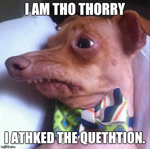 Tuna the dog (Phteven) | I AM THO THORRY I ATHKED THE QUETHTION. | image tagged in tuna the dog phteven | made w/ Imgflip meme maker
