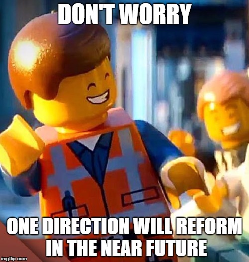 Don't Worry Lego | DON'T WORRY ONE DIRECTION WILL REFORM IN THE NEAR FUTURE | image tagged in dont worry,lego,one direction | made w/ Imgflip meme maker