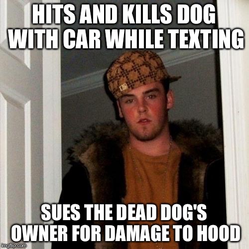 Scumbag Steve | HITS AND KILLS DOG WITH CAR WHILE TEXTING SUES THE DEAD DOG'S OWNER FOR DAMAGE TO HOOD | image tagged in memes,scumbag steve | made w/ Imgflip meme maker
