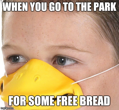 WHEN YOU GO TO THE PARK FOR SOME FREE BREAD | image tagged in when you see it,that moment when,children | made w/ Imgflip meme maker