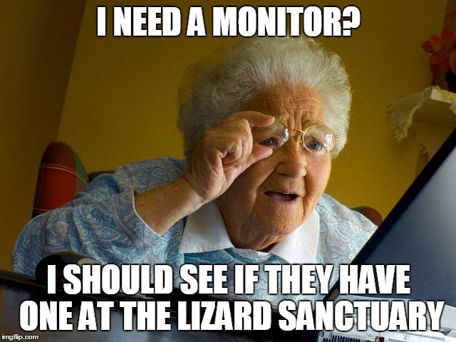 Grandma Finds The Internet | I NEED A MONITOR? I SHOULD SEE IF THEY HAVE ONE AT THE LIZARD SANCTUARY | image tagged in memes,grandma finds the internet | made w/ Imgflip meme maker