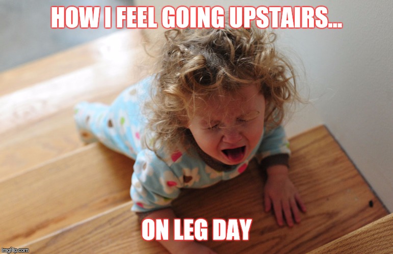 HOW I FEEL GOING UPSTAIRS... ON LEG DAY | image tagged in legday,workout | made w/ Imgflip meme maker