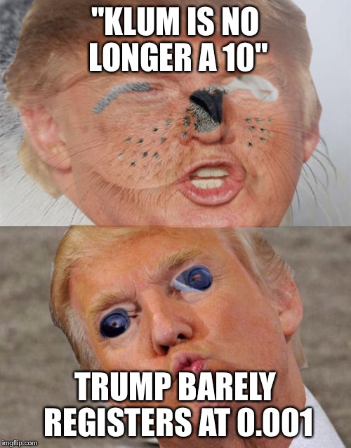 Trump throwing stones in a glass house... | "KLUM IS NO LONGER A 10" TRUMP BARELY REGISTERS AT 0.001 | image tagged in donald trump,memes | made w/ Imgflip meme maker