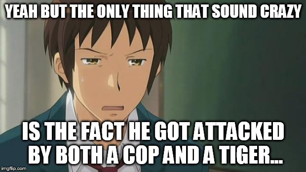 Kyon WTF | YEAH BUT THE ONLY THING THAT SOUND CRAZY IS THE FACT HE GOT ATTACKED BY BOTH A COP AND A TIGER... | image tagged in kyon wtf | made w/ Imgflip meme maker