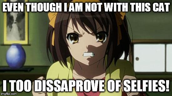 Angry Haruhi | EVEN THOUGH I AM NOT WITH THIS CAT I TOO DISSAPROVE OF SELFIES! | image tagged in angry haruhi | made w/ Imgflip meme maker