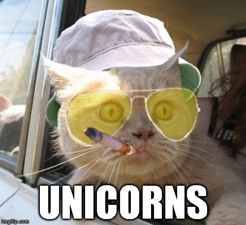 Fear And Loathing Cat | UNICORNS | image tagged in memes,fear and loathing cat | made w/ Imgflip meme maker
