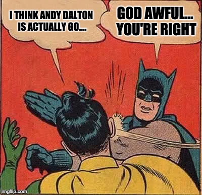 Good catch, Batman. | I THINK ANDY DALTON IS ACTUALLY GO.... GOD AWFUL... YOU'RE RIGHT | image tagged in memes,batman slapping robin | made w/ Imgflip meme maker