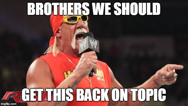 Hulkster and the WWE universe | BROTHERS WE SHOULD GET THIS BACK ON TOPIC | image tagged in hulkster and the wwe universe | made w/ Imgflip meme maker