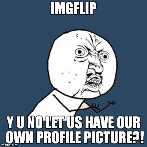 Y U No | IMGFLIP Y U NO LET US HAVE OUR OWN PROFILE PICTURE?! | image tagged in memes,y u no | made w/ Imgflip meme maker