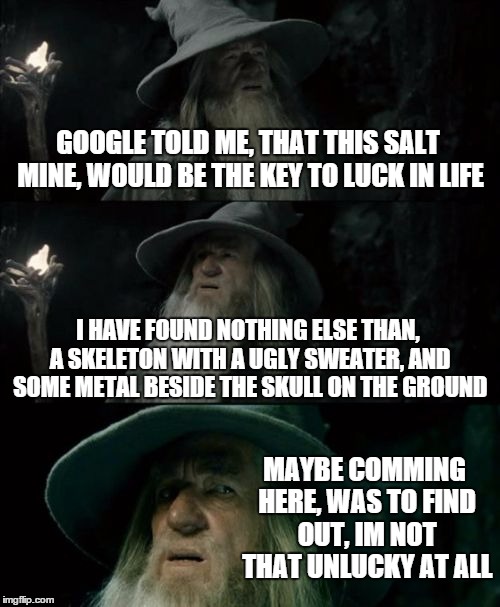 RIP Brian | GOOGLE TOLD ME, THAT THIS SALT MINE, WOULD BE THE KEY TO LUCK IN LIFE I HAVE FOUND NOTHING ELSE THAN, A SKELETON WITH A UGLY SWEATER, AND SO | image tagged in memes,confused gandalf | made w/ Imgflip meme maker