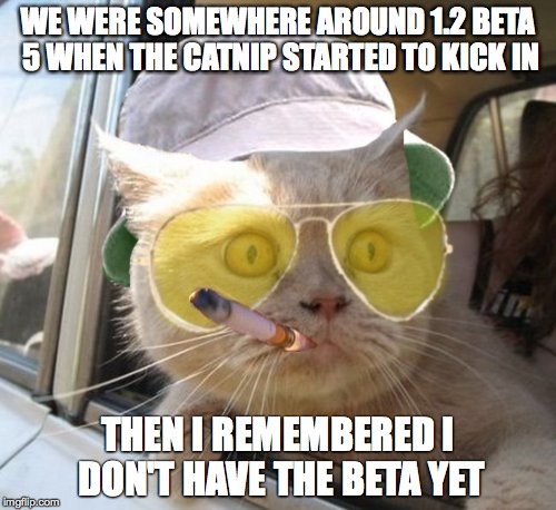 Fear And Loathing Cat Meme | WE WERE SOMEWHERE AROUND 1.2 BETA 5 WHEN THE CATNIP STARTED TO KICK IN THEN I REMEMBERED I DON'T HAVE THE BETA YET | image tagged in memes,fear and loathing cat | made w/ Imgflip meme maker