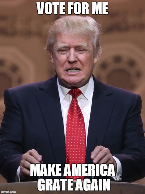 Donald Trump | VOTE FOR ME MAKE AMERICA GRATE AGAIN | image tagged in donald trump | made w/ Imgflip meme maker