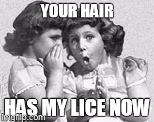 sharing's fun | YOUR HAIR HAS MY LICE NOW | image tagged in whisper,memes | made w/ Imgflip meme maker