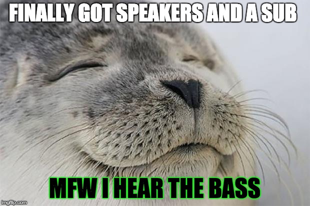 Satisfied Seal Meme | FINALLY GOT SPEAKERS AND A SUB MFW I HEAR THE BASS | image tagged in memes,satisfied seal | made w/ Imgflip meme maker