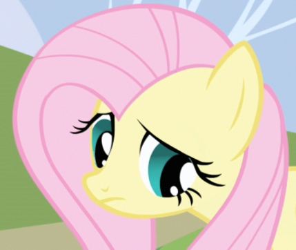 Timid Fluttershy Blank Meme Template