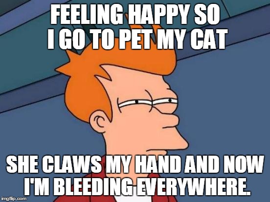 Anonymous 2015 | FEELING HAPPY SO I GO TO PET MY CAT SHE CLAWS MY HAND AND NOW I'M BLEEDING EVERYWHERE. | image tagged in memes,futurama fry | made w/ Imgflip meme maker