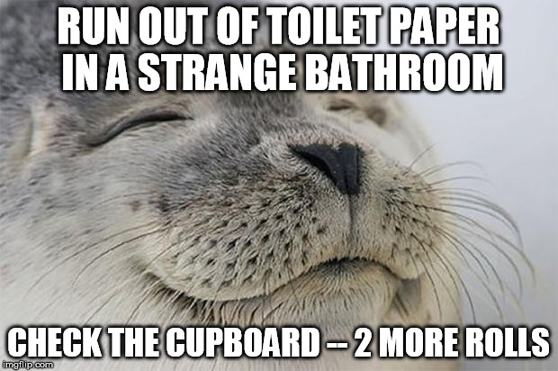 Satisfied Seal | RUN OUT OF TOILET PAPER IN A STRANGE BATHROOM CHECK THE CUPBOARD -- 2 MORE ROLLS | image tagged in memes,satisfied seal,AdviceAnimals | made w/ Imgflip meme maker
