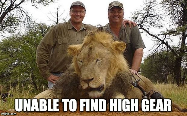 Walter Palmer  | UNABLE TO FIND HIGH GEAR | image tagged in walter palmer  | made w/ Imgflip meme maker