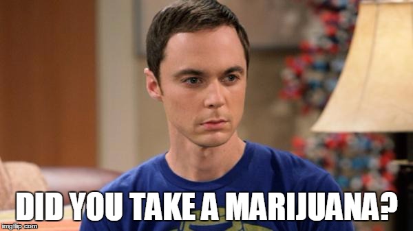 Sheldon Logic | DID YOU TAKE A MARIJUANA? | image tagged in sheldon logic | made w/ Imgflip meme maker