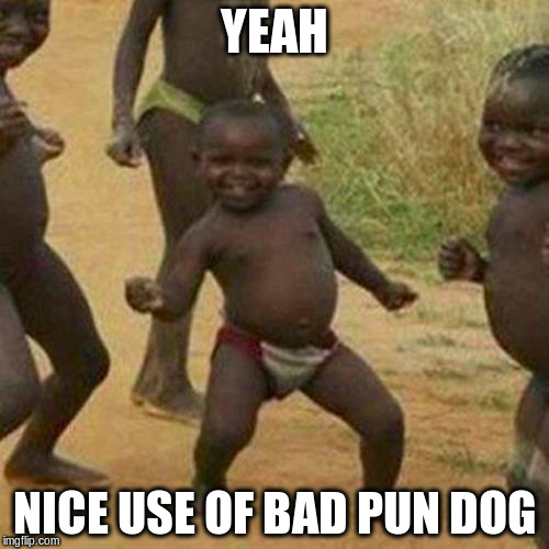 Third World Success Kid Meme | YEAH NICE USE OF BAD PUN DOG | image tagged in memes,third world success kid | made w/ Imgflip meme maker
