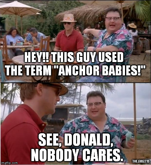 See Nobody Cares | HEY!! THIS GUY USED THE TERM "ANCHOR BABIES!" SEE, DONALD, NOBODY CARES. THE.GRIZZ15 | image tagged in memes,see nobody cares | made w/ Imgflip meme maker