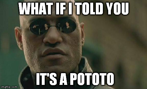 Matrix Morpheus Meme | WHAT IF I TOLD YOU IT'S A POTOTO | image tagged in memes,matrix morpheus | made w/ Imgflip meme maker