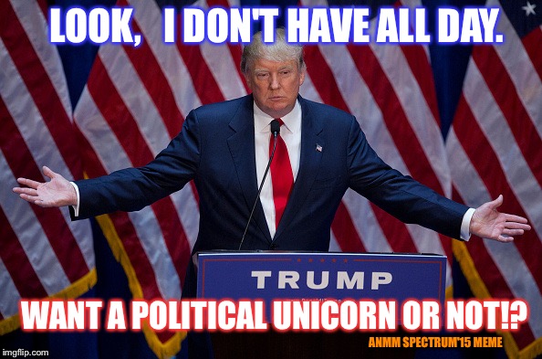 Donald Trump | LOOK,   I DON'T HAVE ALL DAY. WANT A POLITICAL UNICORN OR NOT!? ANMM SPECTRUM'15 MEME | image tagged in donald trump | made w/ Imgflip meme maker