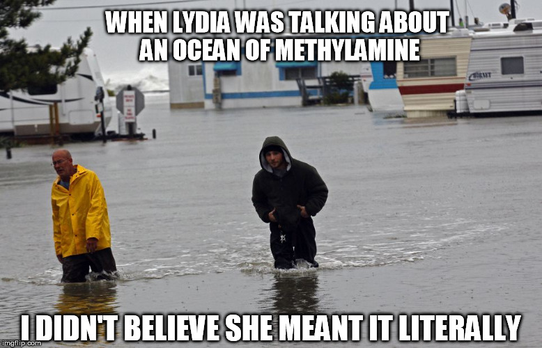 Breaking Bad: The methylamine keeps flowing, no matter what. | WHEN LYDIA WAS TALKING ABOUT AN OCEAN OF METHYLAMINE I DIDN'T BELIEVE SHE MEANT IT LITERALLY | image tagged in breaking bad,terry robinson | made w/ Imgflip meme maker