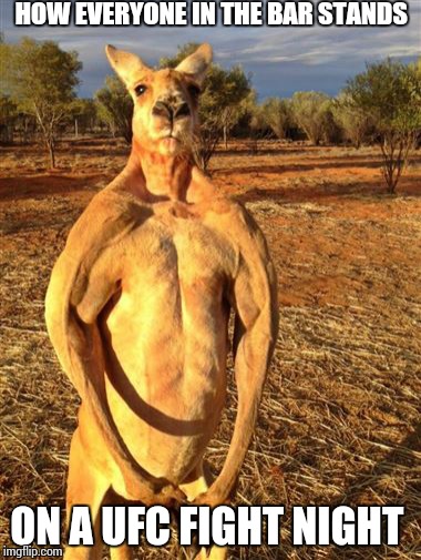 "Been working a lot on my ground & pound, bro" | HOW EVERYONE IN THE BAR STANDS ON A UFC FIGHT NIGHT | image tagged in funny | made w/ Imgflip meme maker