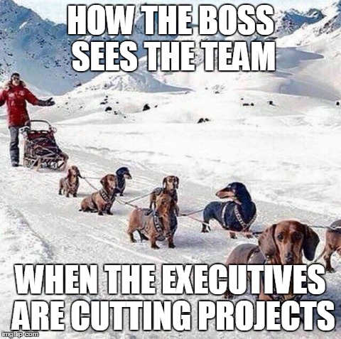 small dog team | HOW THE BOSS SEES THE TEAM WHEN THE EXECUTIVES ARE CUTTING PROJECTS | image tagged in dogsled,original meme,funny memes | made w/ Imgflip meme maker