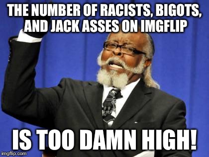 Too Damn High | THE NUMBER OF RACISTS, BIGOTS, AND JACK ASSES ON IMGFLIP IS TOO DAMN HIGH! | image tagged in memes,too damn high | made w/ Imgflip meme maker
