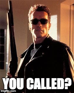 Terminator | YOU CALLED? | image tagged in terminator | made w/ Imgflip meme maker