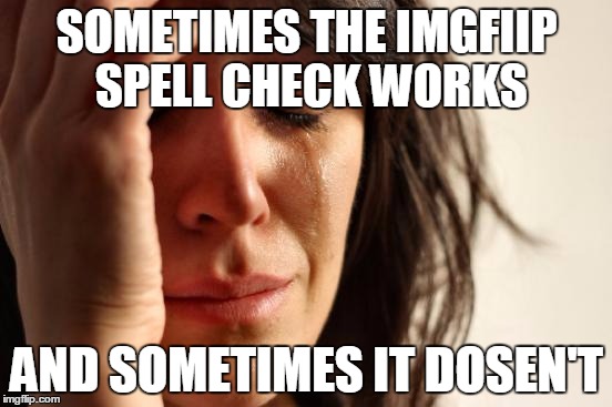 First World Problems | SOMETIMES THE IMGFIIP SPELL CHECK WORKS AND SOMETIMES IT DOSEN'T | image tagged in memes,first world problems | made w/ Imgflip meme maker