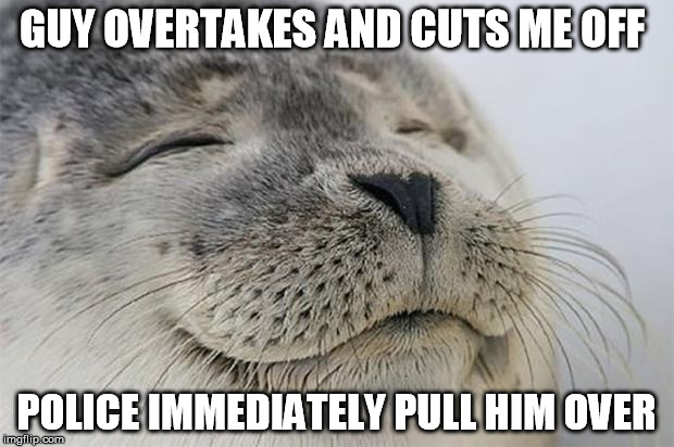 Satisfied Seal Meme | GUY OVERTAKES AND CUTS ME OFF POLICE IMMEDIATELY PULL HIM OVER | image tagged in memes,satisfied seal,AdviceAnimals | made w/ Imgflip meme maker
