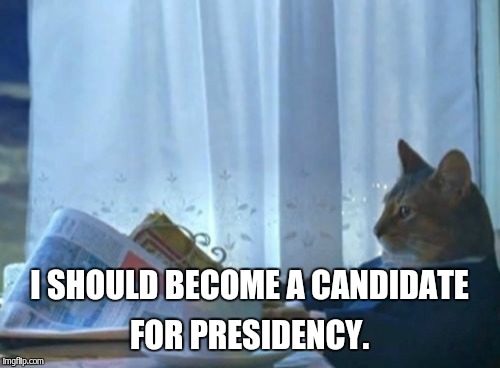 U.S.A. | I SHOULD BECOME A CANDIDATE FOR PRESIDENCY. | image tagged in memes,i should buy a boat cat | made w/ Imgflip meme maker