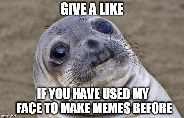 Awkward Moment Sealion | GIVE A LIKE IF YOU HAVE USED MY FACE TO MAKE MEMES BEFORE | image tagged in memes,awkward moment sealion | made w/ Imgflip meme maker