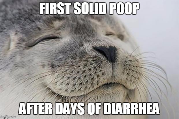 Satisfied Seal Meme | FIRST SOLID POOP AFTER DAYS OF DIARRHEA | image tagged in memes,satisfied seal | made w/ Imgflip meme maker