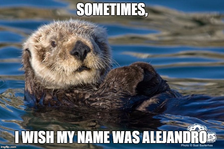 SOMETIMES, I WISH MY NAME WAS ALEJANDRO | image tagged in otterwise | made w/ Imgflip meme maker