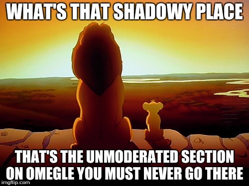 Lion King Meme | WHAT'S THAT SHADOWY PLACE THAT'S THE UNMODERATED SECTION ON OMEGLE YOU MUST NEVER GO THERE | image tagged in memes,lion king | made w/ Imgflip meme maker