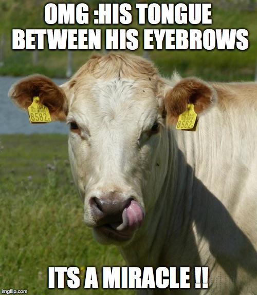 OMG :HIS TONGUE BETWEEN HIS EYEBROWS ITS A MIRACLE !! | made w/ Imgflip meme maker