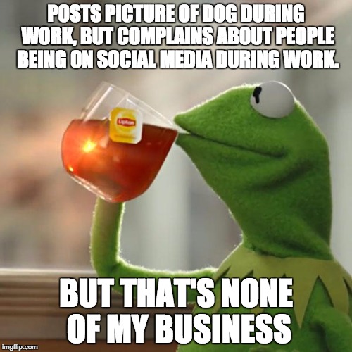 National Dog Day | POSTS PICTURE OF DOG DURING WORK, BUT COMPLAINS ABOUT PEOPLE BEING ON SOCIAL MEDIA DURING WORK. BUT THAT'S NONE OF MY BUSINESS | image tagged in memes,but thats none of my business,kermit the frog | made w/ Imgflip meme maker