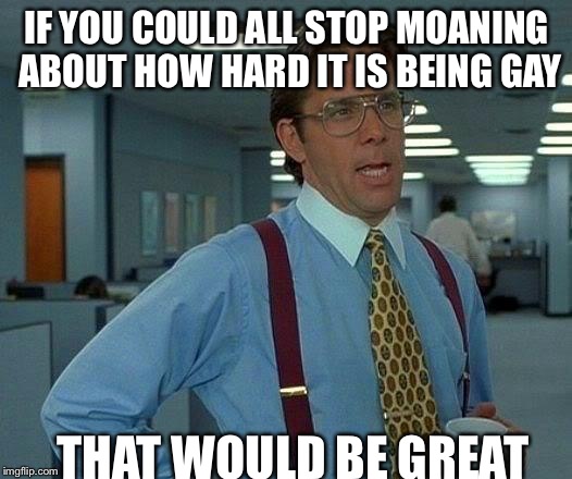 That Would Be Great Meme | IF YOU COULD ALL STOP MOANING ABOUT HOW HARD IT IS BEING GAY THAT WOULD BE GREAT | image tagged in memes,that would be great | made w/ Imgflip meme maker