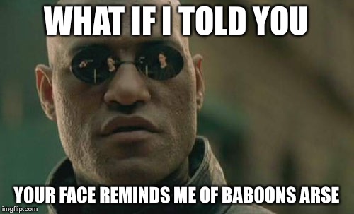 Matrix Morpheus | WHAT IF I TOLD YOU YOUR FACE REMINDS ME OF BABOONS ARSE | image tagged in memes,matrix morpheus | made w/ Imgflip meme maker