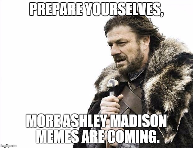 Brace Yourselves X is Coming | PREPARE YOURSELVES, MORE ASHLEY MADISON MEMES ARE COMING. | image tagged in memes,brace yourselves x is coming | made w/ Imgflip meme maker