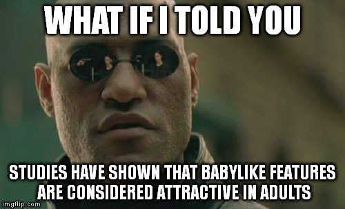 having a face that resembles that of a baby is supposedly attractive?  | WHAT IF I TOLD YOU STUDIES HAVE SHOWN THAT BABYLIKE FEATURES ARE CONSIDERED ATTRACTIVE IN ADULTS | image tagged in memes,matrix morpheus | made w/ Imgflip meme maker