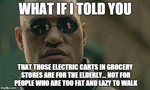 Matrix Morpheus Meme | WHAT IF I TOLD YOU THAT THOSE ELECTRIC CARTS IN GROCERY STORES ARE FOR THE ELDERLY... NOT FOR PEOPLE WHO ARE TOO FAT AND LAZY TO WALK | image tagged in memes,matrix morpheus | made w/ Imgflip meme maker